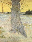 Vincent Van Gogh Trunk of an old Yew Tree (nn04) Sweden oil painting reproduction